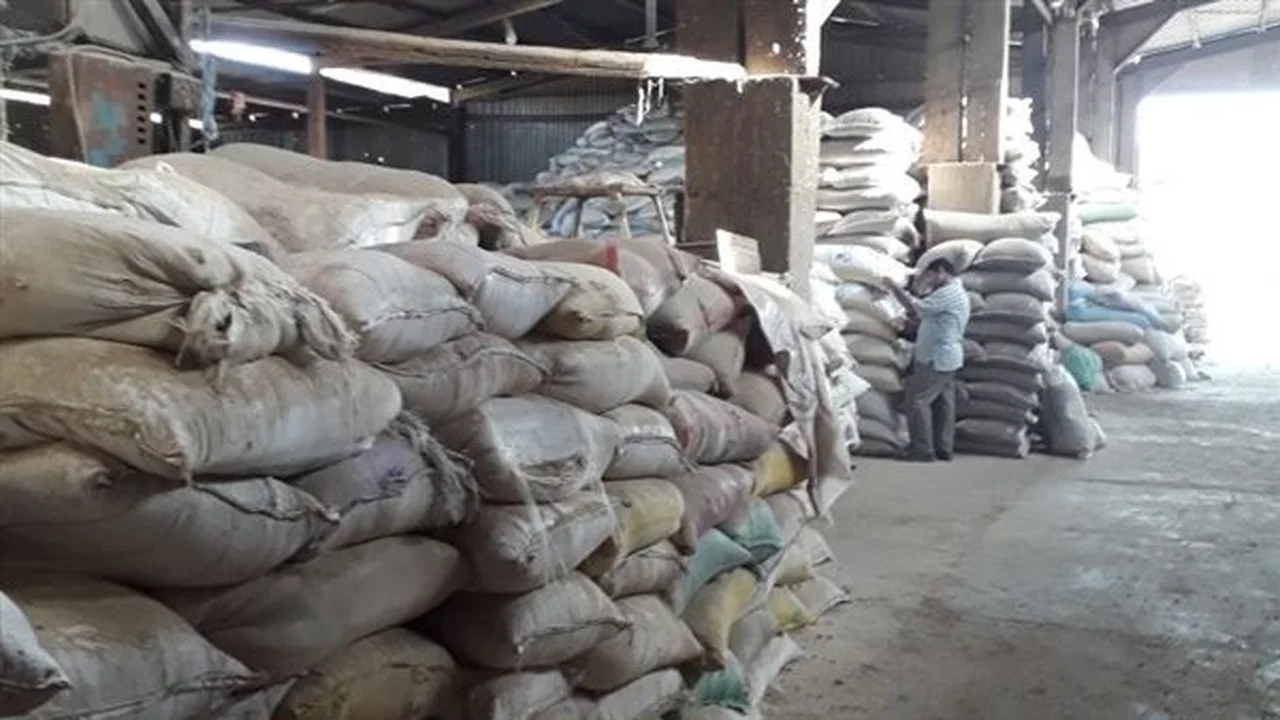 قفزة قياسية في أسعار أعلاف الدواجن تلامس 4 آلاف جنيه خلال أسبوعين